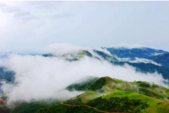 为玉林市独一临海城镇的龙潭镇列入了经济区五