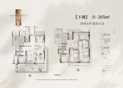 这种以公共好处为底色、以专支持、以居平易近