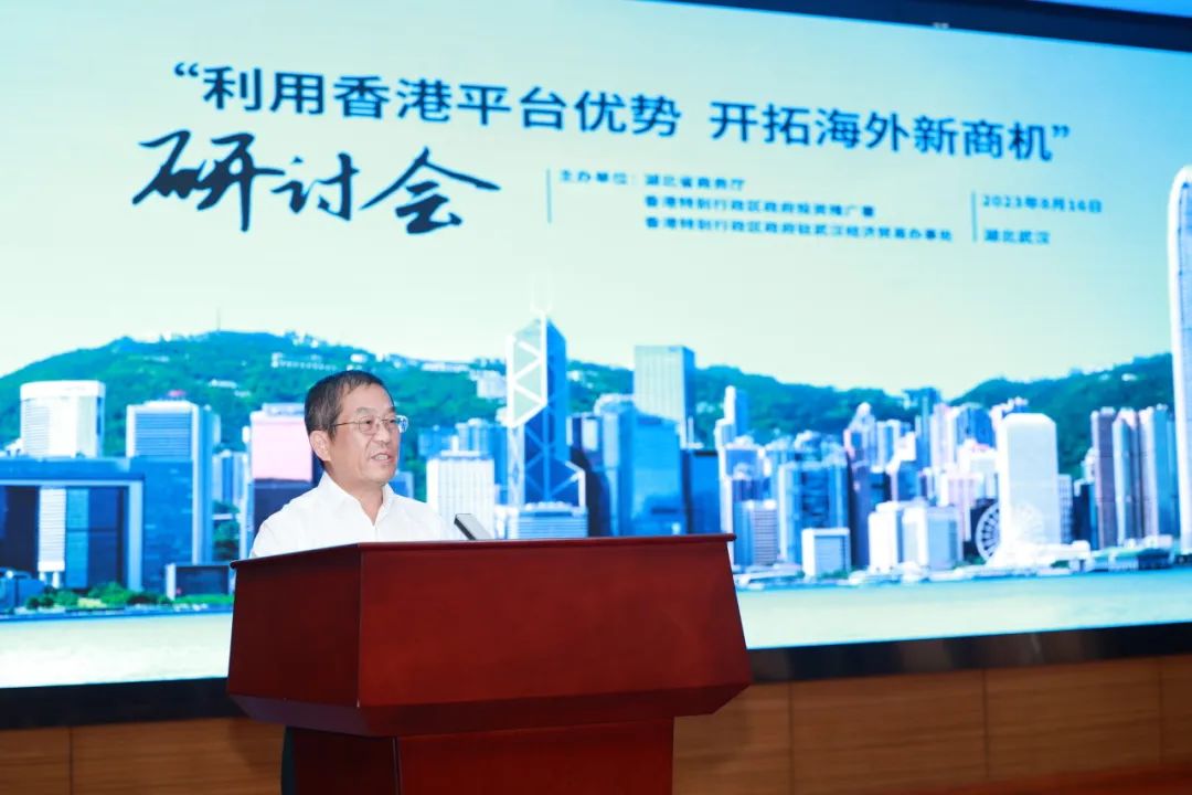 “利用香港平台优势 开拓海外新商机”研讨会在武汉举行(图2)