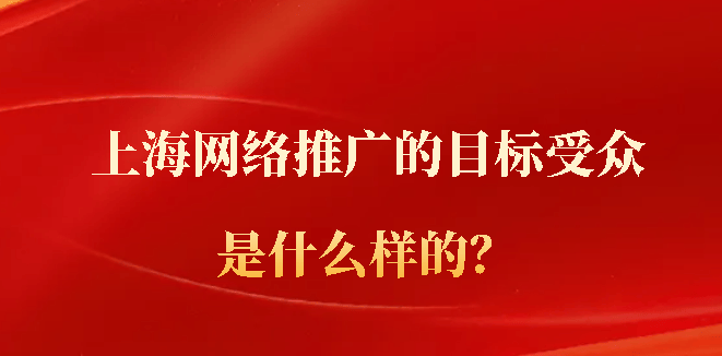 上海网络推广的目标受众是什么样的？(图1)